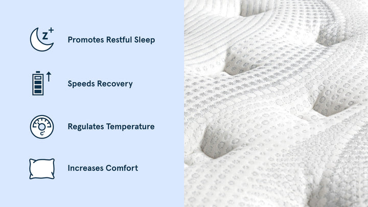Elite Hybrid Mattress by Bear