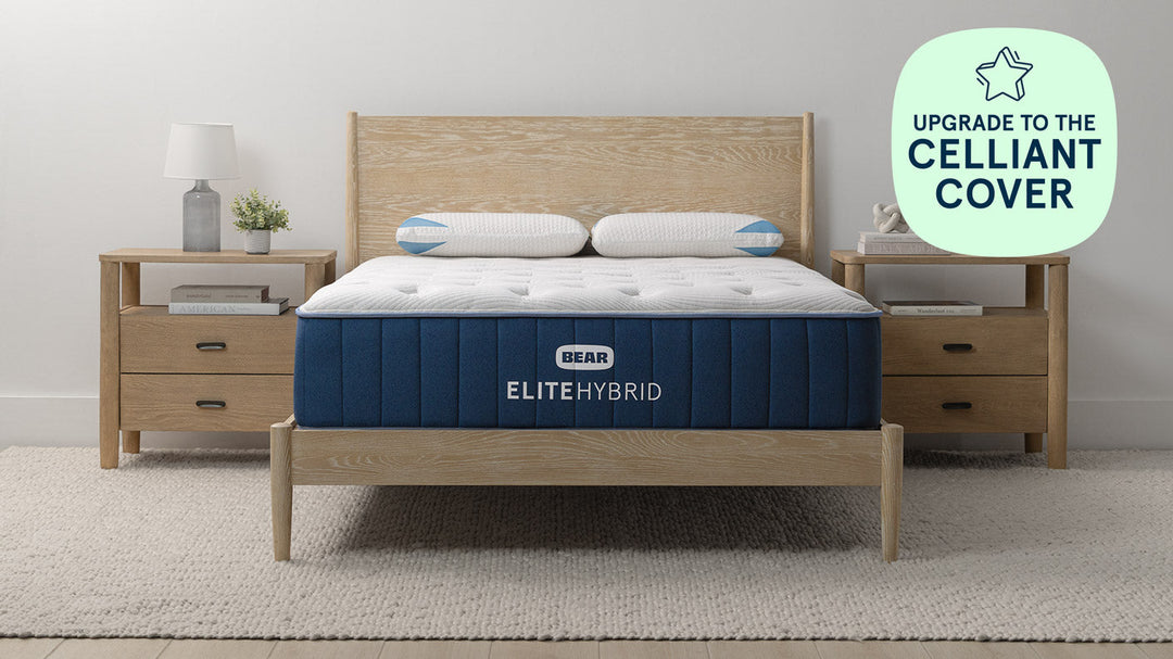 Elite Hybrid Mattress by Bear