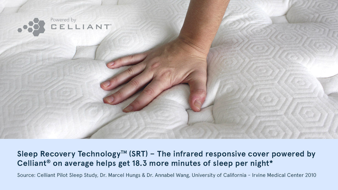 Star Hybrid Mattress by Bear