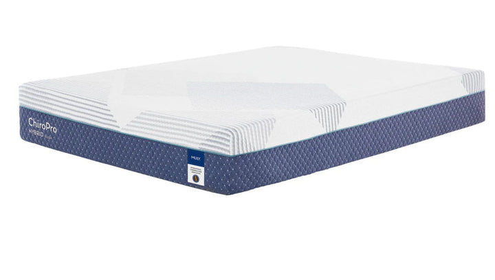 ChiroPro 3.0 Mattress by MLily